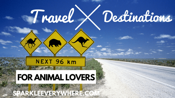 travel destinations for animal lovers