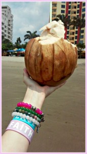 fresh coconut at the beach  